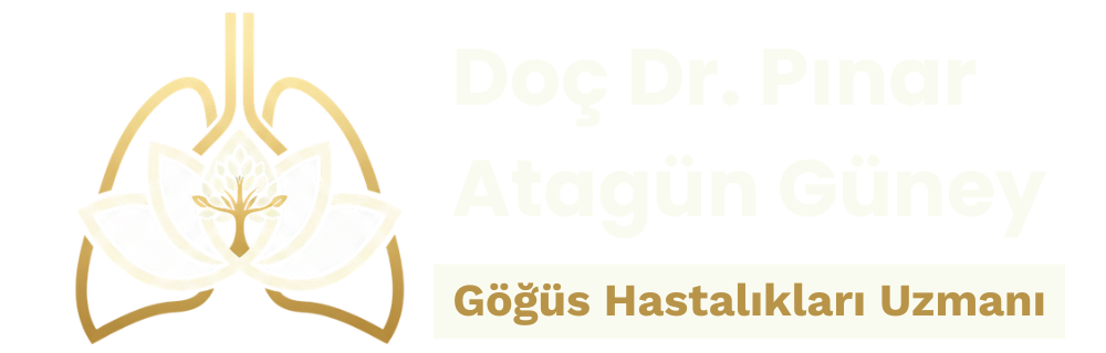 cropped-Logo-Pinar-Atagun-Guney.png