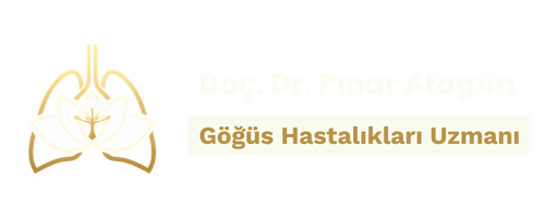 Black Blue and Pink Modern Laundry Logo (500 x 200 piksel) (1)